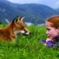 fox_and_the_child_the