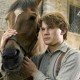 war_horse_film_library